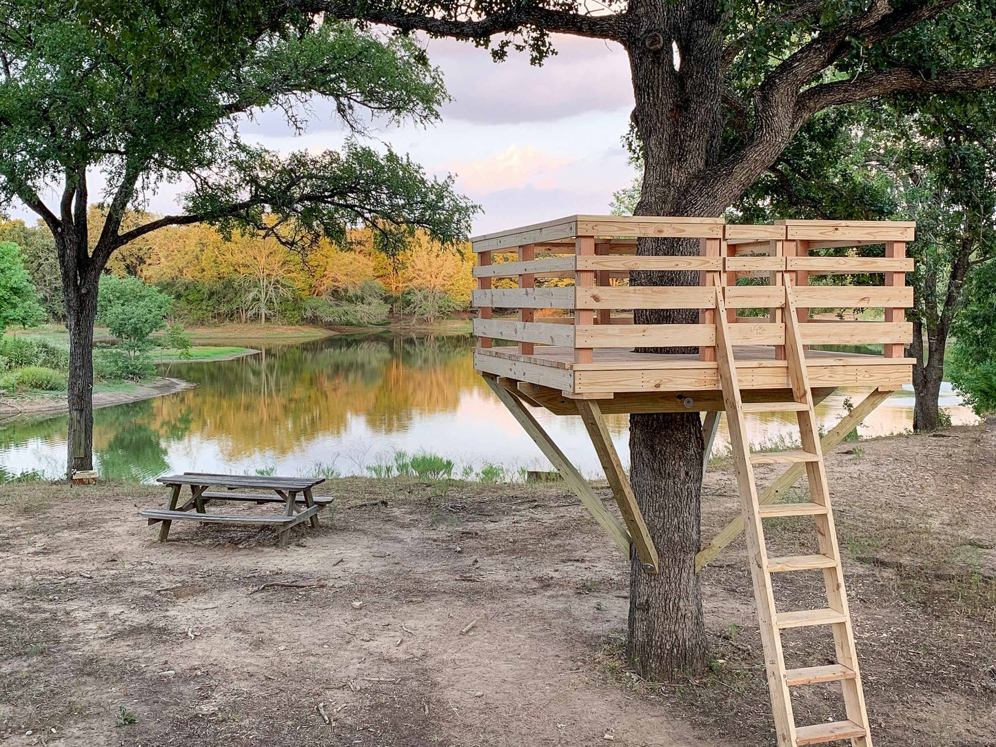 Tree Fort Plans