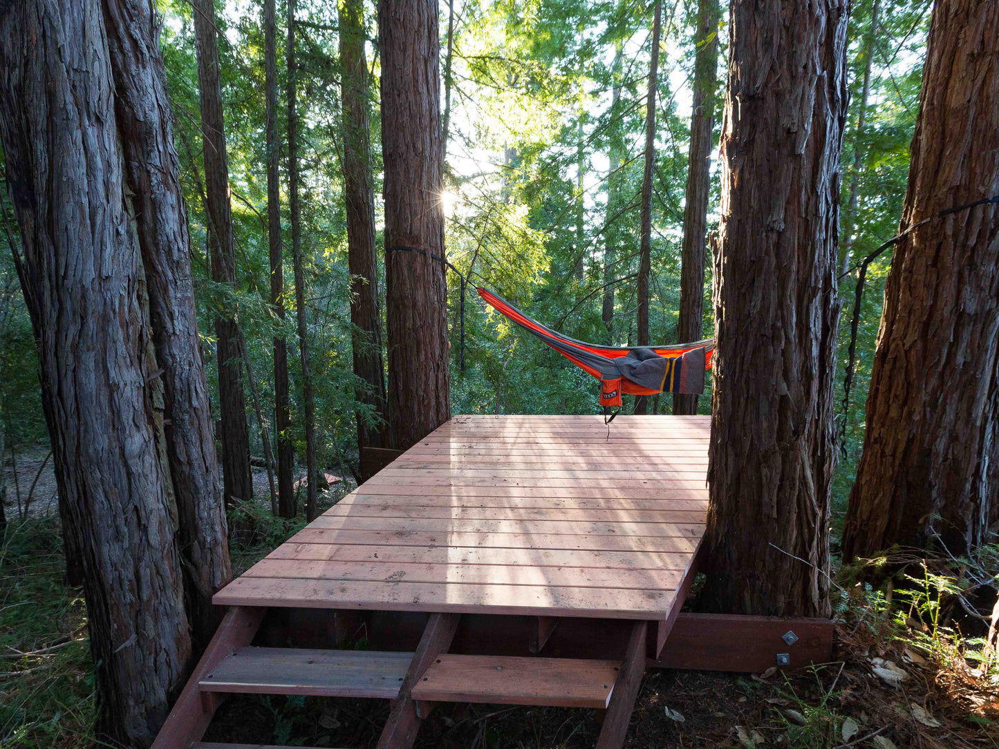 Tree Deck Plans