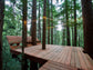 Tree Deck Plans